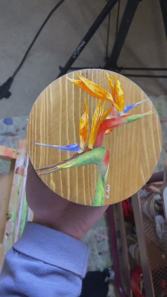 Bird of paradise