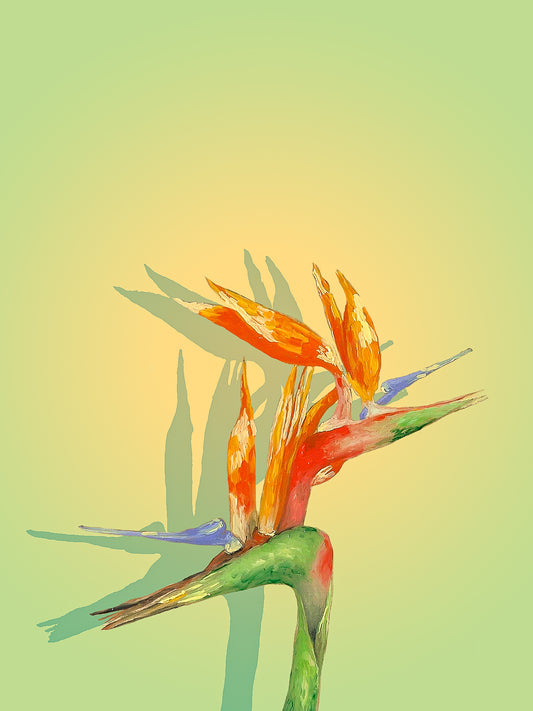 Bird of paradise green print